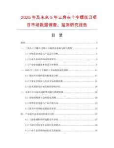 2025年及未來5年三角頭十字螺絲刀項目市場數(shù)據(jù)調(diào)查、監(jiān)測研究報告