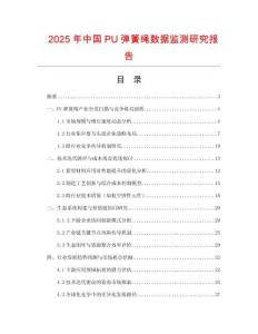 2025年中国PU弹簧绳数据监测研究报告