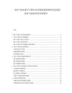 2025-2030量子計算行業(yè)市場發(fā)展深度研究及前沿技術(shù)與商業(yè)應(yīng)用分析報告
