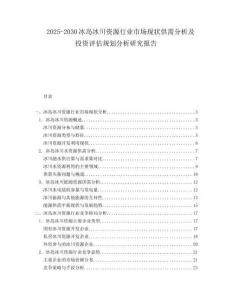 2025-2030冰島冰川資源行業(yè)市場現(xiàn)狀供需分析及投資評估規(guī)劃分析研究報告