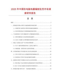 2025年中國防電腦電器輻射肚兜市場(chǎng)調(diào)查研究報(bào)告