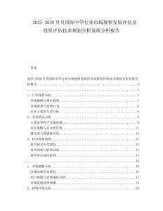2025-2030貝貝國際中學行業(yè)市場現(xiàn)狀發(fā)展評估及投資評估技術規(guī)劃分析發(fā)展分析報告