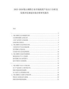 2025-2030鞍山鋼鐵行業市場現狀產品出口分析及發展評估規劃市場分析研究報告