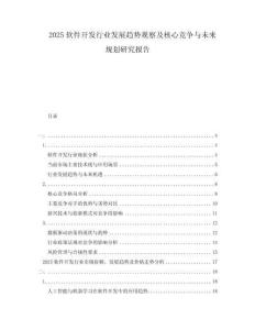 2025軟件開發(fā)行業(yè)發(fā)展趨勢觀察及核心競爭與未來規(guī)劃研究報告