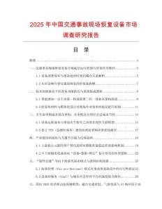 2025年中國交通事故現(xiàn)場恢復(fù)設(shè)備市場調(diào)查研究報告