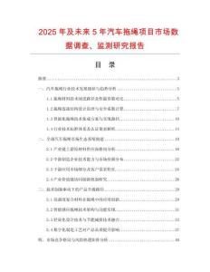 2025年及未來5年汽車拖繩項目市場數據調查、監測研究報告