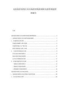 安防监控系统行业市场供需现状调研及投资规划管理报告