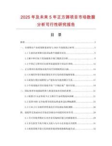 2025年及未來(lái)5年正方篩項(xiàng)目市場(chǎng)數(shù)據(jù)分析可行性研究報(bào)告