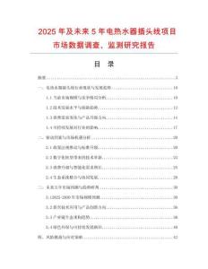 2025年及未来5年电热水器插头线项目市场数据调查、监测研究报告