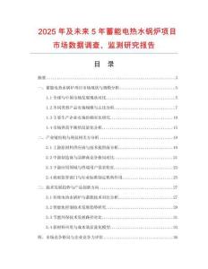 2025年及未來5年蓄能電熱水鍋爐項目市場數據調查、監測研究報告