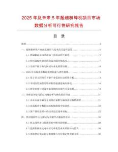 2025年及未來5年超細粉碎機項目市場數(shù)據(jù)分析可行性研究報告