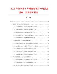 2025年及未來5年暖腳鞋項目市場數據調查、監測研究報告
