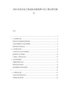 2025硅基光電子集成技術(shù)路線圖與代工模式研究報(bào)告