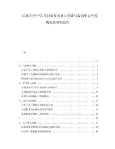 2025硅光子芯片封裝技術(shù)難點突破與數(shù)據(jù)中心光模塊更新周期報告