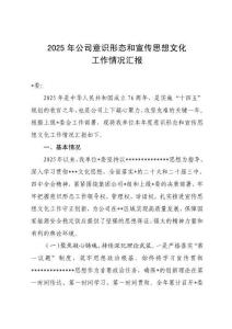 2025年公司意識形態和宣傳思想文化工作情況匯報