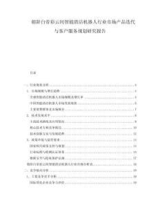 朝辞白帝彩云间智能清洁机器人行业市场产品迭代与客户服务规划研究报告
