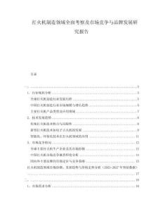 打火机制造领域全面考察及市场竞争与品牌发展研究报告