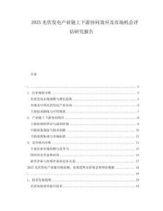 2025光伏發電產業鏈上下游協同效應及市場機會評估研究報告