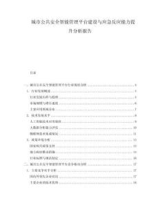 城市公共安全智能管理平臺建設與應急反應能力提升分析報告