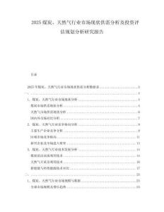2025煤炭、天然氣行業(yè)市場現(xiàn)狀供需分析及投資評估規(guī)劃分析研究報告