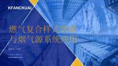 方快鍋爐PPT：燃?xì)鈴?fù)合樣式供暖與煙氣源系統(tǒng)應(yīng)用
