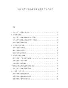 車用天然氣發(fā)動機市場復蘇潛力評估報告