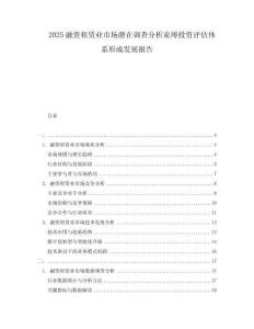 2025融資租賃業(yè)市場潛在調(diào)查分析束縛投資評估體系形成發(fā)展報告