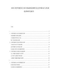 2025軟件服務(wù)行業(yè)市場深度調(diào)研及競爭格局與發(fā)展趨勢研究報告