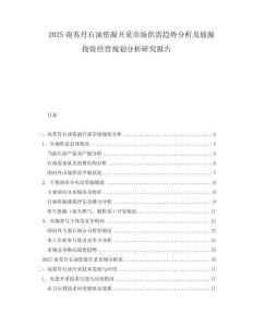 2025南蘇丹石油資源開采市場供需趨勢分析及能源投資經(jīng)營規(guī)劃分析研究報告