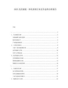 2025光伏儲能一體化系統行業競爭態勢分析報告