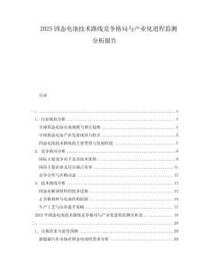 2025固態(tài)電池技術(shù)路線競爭格局與產(chǎn)業(yè)化進(jìn)程監(jiān)測分析報告