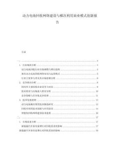 動力電池回收網(wǎng)絡建設與梯次利用商業(yè)模式創(chuàng)新報告