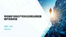專利保護與知識產(chǎn)權訴訟利用法律武器維護自身權益