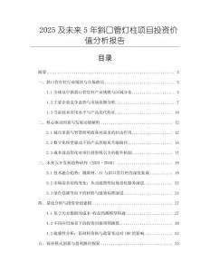 2025及未來(lái)5年斜口管燈柱項(xiàng)目投資價(jià)值分析報(bào)告