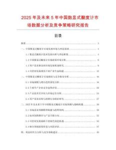 2025年及未來5年中國數(shù)顯式酸度計市場數(shù)據(jù)分析及競爭策略研究報告