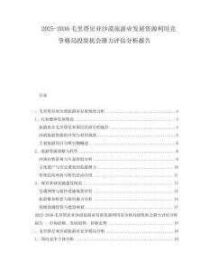 2025-2030毛里塔尼亚沙漠旅游业发展资源利用竞争格局投资机会潜力评估分析报告