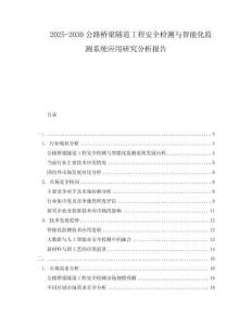 2025-2030公路橋梁隧道工程安全檢測與智能化監測系統應用研究分析報告