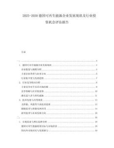 2025-2030德國(guó)可再生能源企業(yè)發(fā)展現(xiàn)狀及行業(yè)投資機(jī)會(huì)評(píng)估報(bào)告