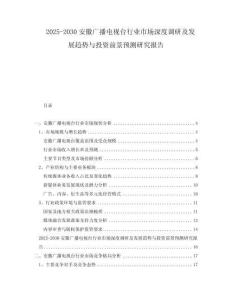 2025-2030安徽廣播電視臺行業市場深度調研及發展趨勢與投資前景預測研究報告