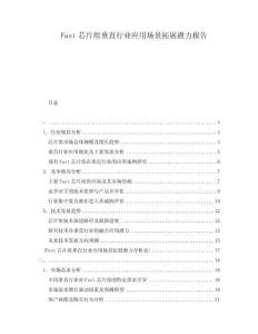 Fast芯片组垂直行业应用场景拓展潜力报告