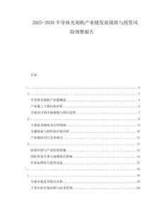 2025-2030半導(dǎo)體光刻機(jī)產(chǎn)業(yè)鏈發(fā)展現(xiàn)狀與投資風(fēng)險(xiǎn)預(yù)警報(bào)告