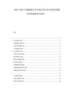 2025-2030生物能源行業(yè)市場全面分析及趨勢預(yù)測與投資戰(zhàn)略研究報告