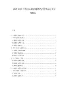 2025-2030大數(shù)據(jù)行業(yè)發(fā)展趨勢(shì)與投資布局分析研究報(bào)告