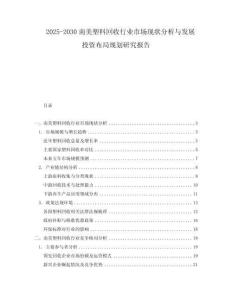 2025-2030南美塑料回收行業(yè)市場現(xiàn)狀分析與發(fā)展投資布局規(guī)劃研究報告