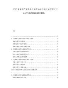 2025新能源汽車充電設(shè)施市場建設(shè)現(xiàn)狀運(yùn)營模式行業(yè)競爭格局規(guī)劃研究報告