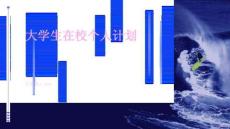大学生在校个人计划