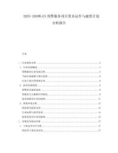 2025-2030WiCS預(yù)警服務(wù)項目資本運作與融資計劃分析報告
