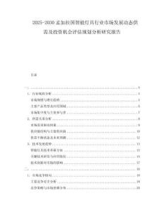 2025-2030孟加拉国智能灯具行业市场发展动态供需及投资机会评估规划分析研究报告