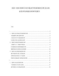 2025-2030保險(xiǎn)行業(yè)市場(chǎng)競(jìng)爭(zhēng)發(fā)展現(xiàn)狀分析及未來(lái)前景評(píng)估規(guī)劃分析研究報(bào)告