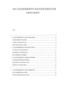 2025東南亞新能源乘用車(chē)電機(jī)市場(chǎng)供需現(xiàn)狀競(jìng)爭(zhēng)格局投資分析報(bào)告